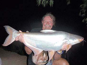 2009_Tim Webb_Jambal Pangasius_Pangasius djambal.jpg 2009_Tim Webb_Jambal Pangasius_Pangasius djambal.jpg